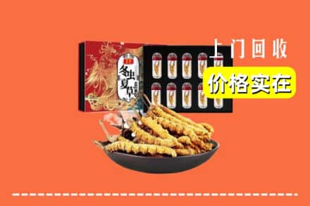 嘉兴海宁市回收冬虫夏草